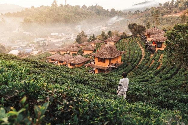 Amanhecer, em, lee, vinho, rak, tailandês, chinês, ajuste, mae hong filho, tailandia