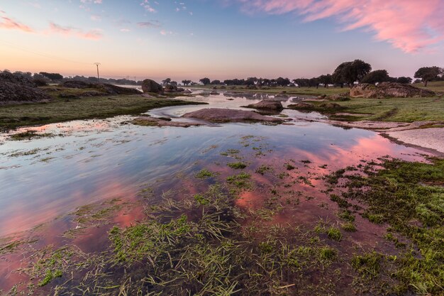 Amanhecer em uma lagoa perto de Arroyo de la luz. Extremadura. Espanha.