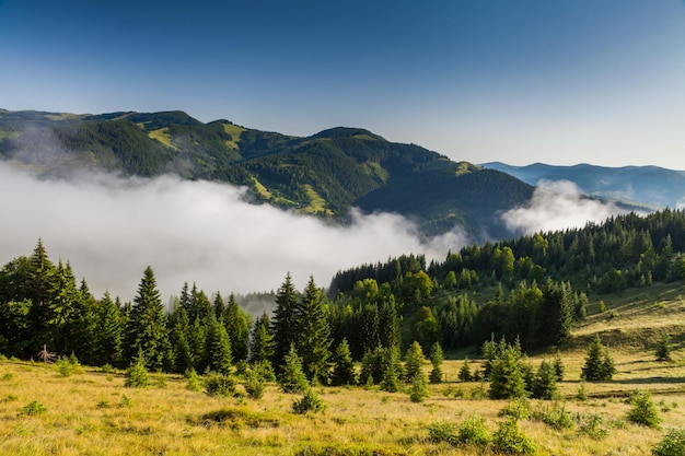 Amanhecer enevoado nas montanhas no verão