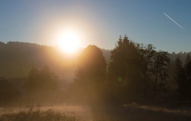 Amanhecer enevoado no campo