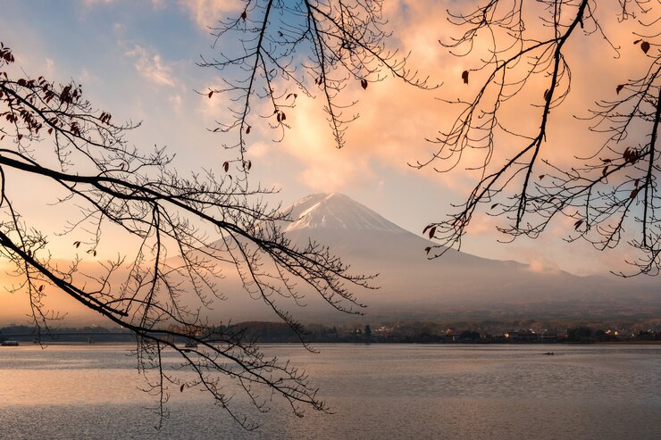 Foto amanhecer, fuji, montanha, arco, ramo, manhã