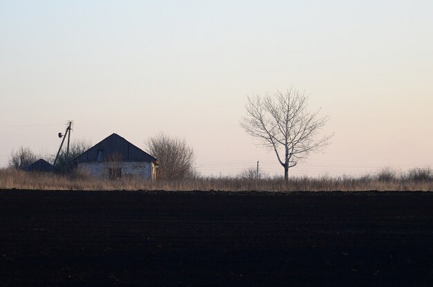 Amanhecer na aldeia. Uma foto minimalista com uma linha de horizonte na qual há um prédio de apartamentos e uma árvore