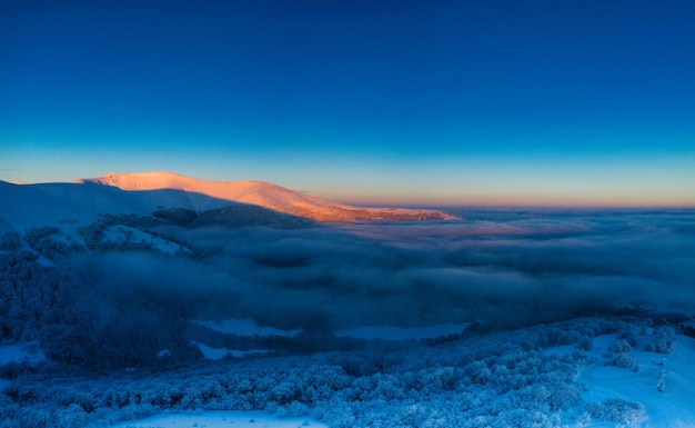 Amanhecer nas árvores das montanhas na geada