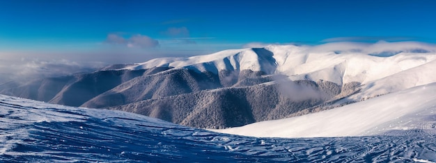 Amanhecer nas árvores das montanhas na geada