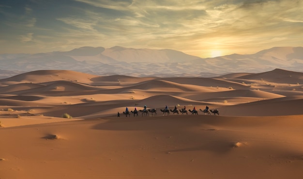 Amanhecer no deserto com caravana de camelos