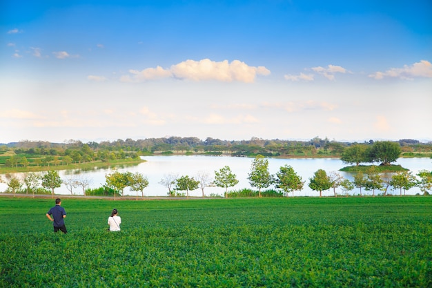 El amante de pie entre el campo de té con fondo de cielo azul.