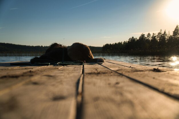 Amantes de cães deitados em um cais e olhando para o lago na Suécia Goldendoodle e mix