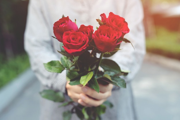 Los amantes están regalando rosas rojas el día del valetine