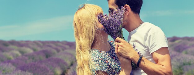 Amantes en el floreciente campo de lavanda.