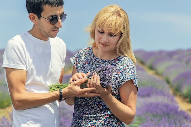 Amantes no campo desabrochando de lavanda.