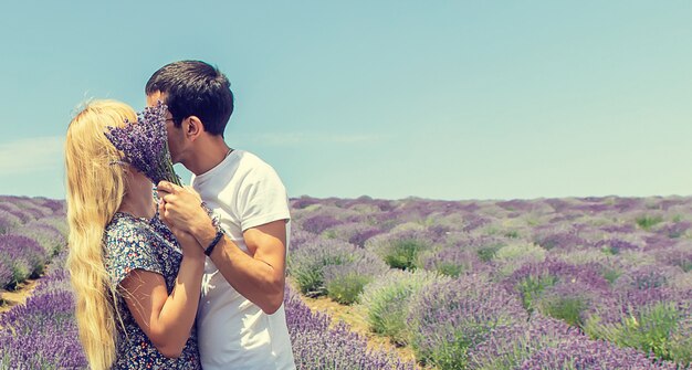 Amantes no campo florescendo de lavanda.