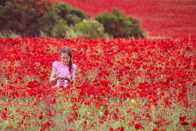 amapolas campo