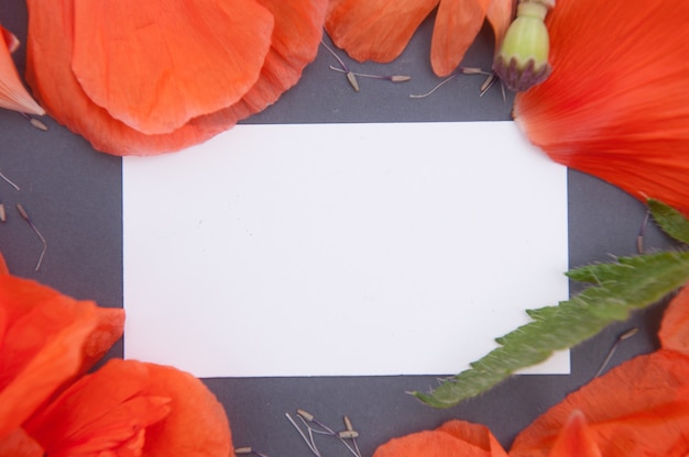 Amapolas rojas con papel blanco de espacio vacío