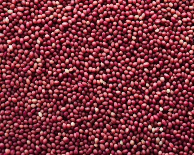 Amaranth-Samen-Textur-Hintergrund