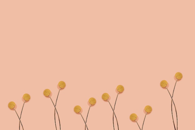 Foto amarelo craspedia billy balls ou billy buttons (yellow ball flowers) com padrão de hastes em fundo rosa pastel com espaço de cópia. ideia de fundo de papel de parede criativo de natureza. postura plana mínima.