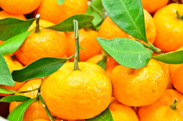 Foto amarelo de laranja do país chinês