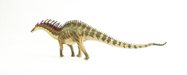 Amargasaurus, Dinosaurier.