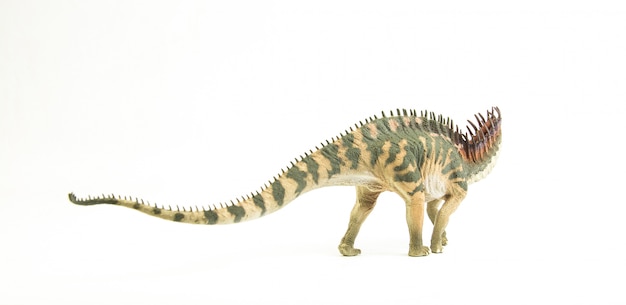 Amargasaurus, Dinosaurier.