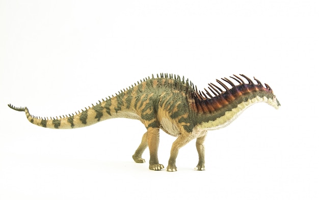 Amargasaurus, dinosaurio.