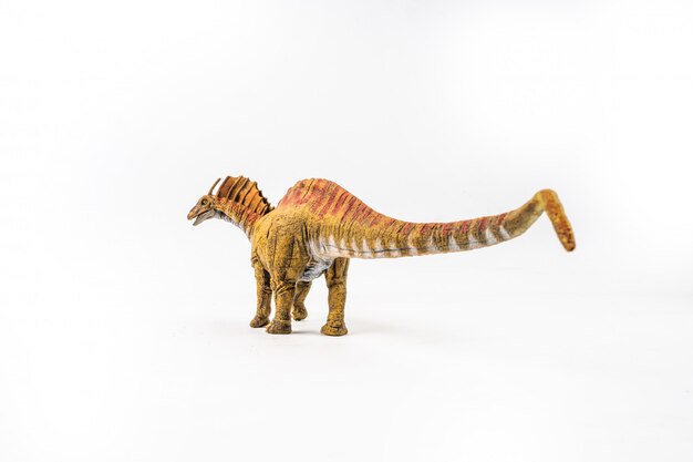 Amargasaurus, dinossauro em fundo branco