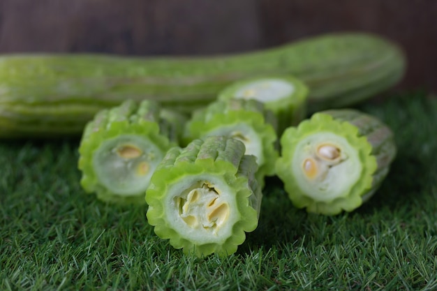 Amargo pepino aislado en hierba verde