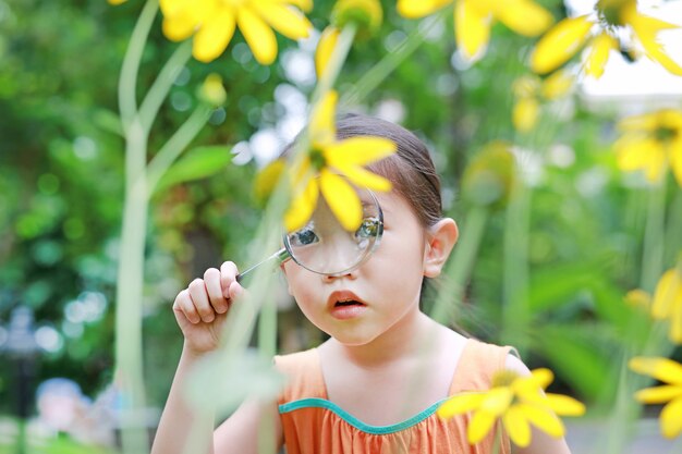 El amarillo hermoso del flor del explorador asiático de la muchacha del niño florece en jardín del verano.