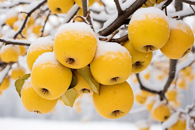 amarillo de limón