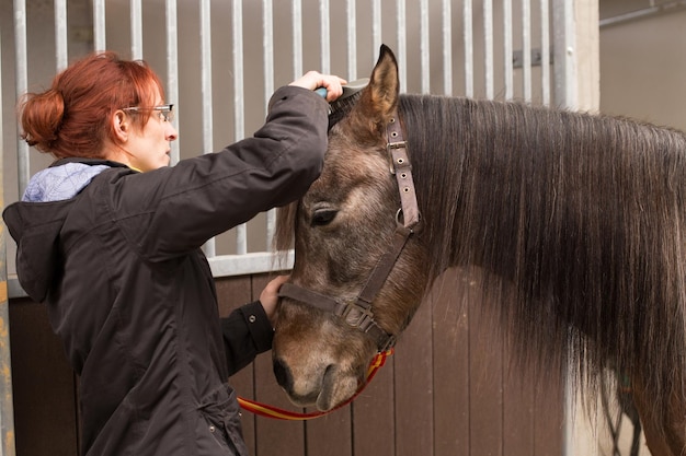 Amazona profesional atleta colgando bridas de deporte ecuestre para un caballo de doma Jockey prepararse para la competencia a caballo