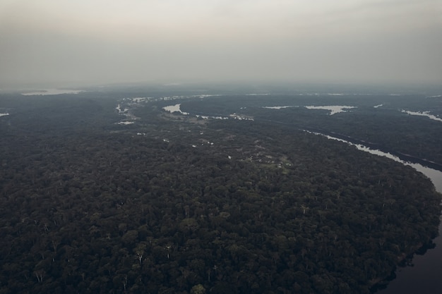 Amazonas-Flussfoto aus einer Höhe hochwertiges Foto