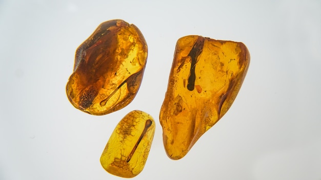 Amber Stone. Auténtico ámbar báltico con macro insecto fósil prehistórico. Lupa y ámbar creciente.