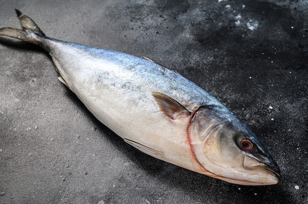 Amberjack japonês inteiro cru e fresco