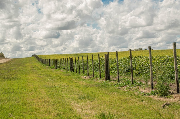 Ambiente da fazenda