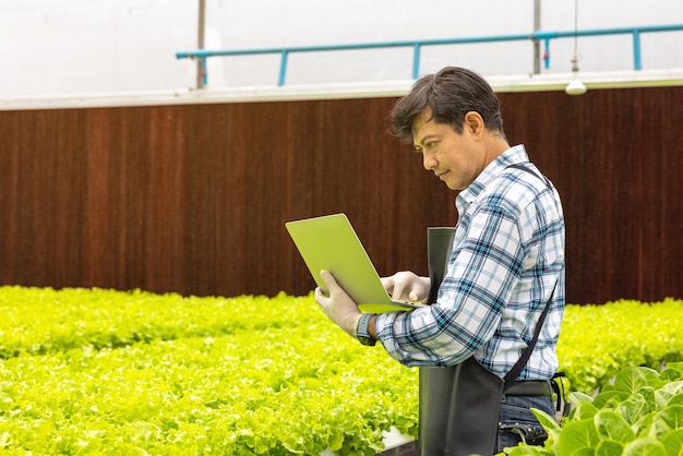 En un ambiente de invernadero, un investigador agrícola examina las plantas con una computadora portátil mientras sostiene la computadora portátil.