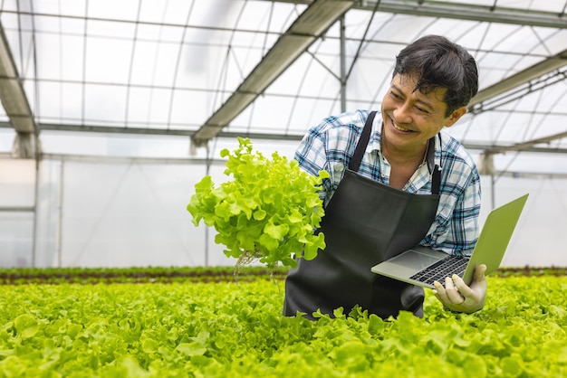 En un ambiente de invernadero, un investigador agrícola examina las plantas con una computadora portátil mientras sostiene la computadora portátil.