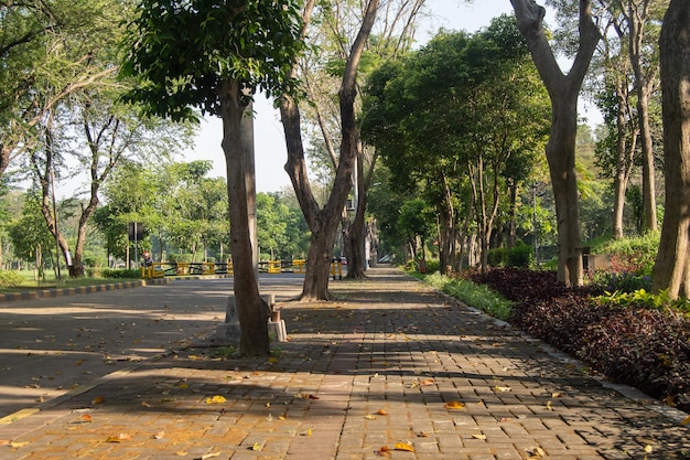 El ambiente en uno de los parques a un costado de la vía del campus con ambiente verde