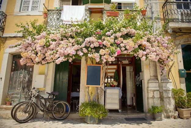 Ambiente veraniego en la ciudad, con flores, bicicletas, etcÃ ¢ Â € Â¦