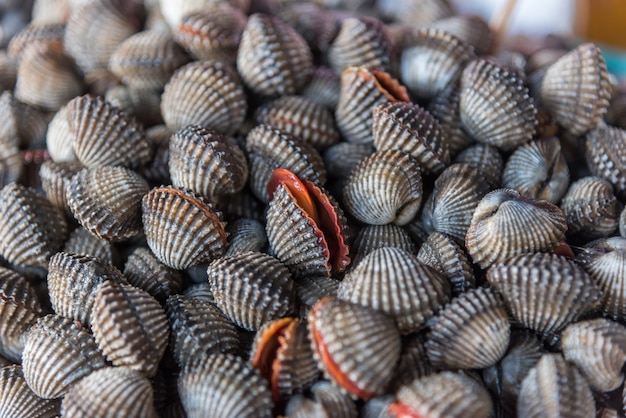 Amêijoas berbigão mar cru fresco exibir para venda no mercado de frutos do mar ou comida de rua tailandês