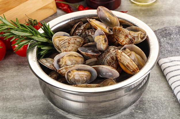 Amêijoas vongole cruas para cozinha