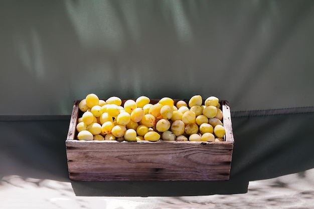 Ameixas amarelas frescas. Frutas maduras em uma caixa de madeira no fundo de placas azuis