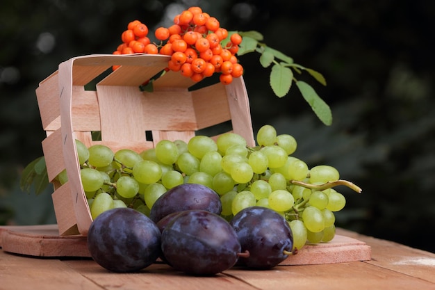 Ameixas de uvas e rowan em uma cesta em um fundo desfocado Grupo de frutas coloridas de outono saudáveis em uma cesta de madeira em uma mesa de madeira