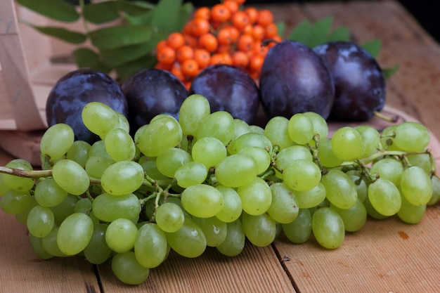 Ameixas de uvas e rowan em uma cesta em um fundo desfocado Grupo de frutas coloridas de outono saudáveis em uma cesta de madeira em uma mesa de madeira