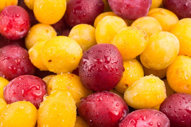 Ameixas frescas maduras vermelhas e amarelas colocadas na mesa no mercado