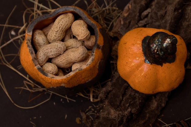 amendoins em vaso de cerâmica punpkin