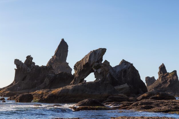 American Nature Background Rocky Beach an der Westküste des Pazifischen Ozeans