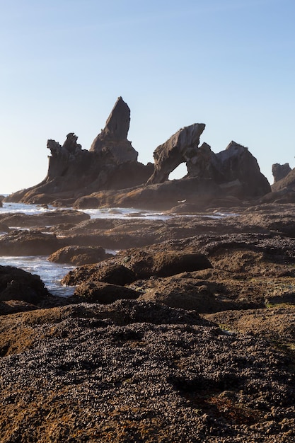 American Nature Background Rocky Beach an der Westküste des Pazifischen Ozeans