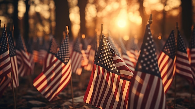 Amerikanische Fahnen fliegen stolz im Hintergrund