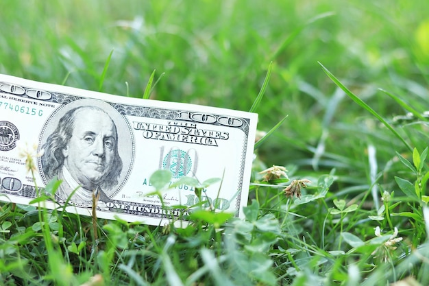 Amerikanische Hundert-Dollar-Banknote im Gras Geld in den Wind werfen Verlorenes Geld Kopierraum