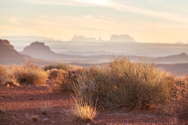 Amerikanische Landschaften