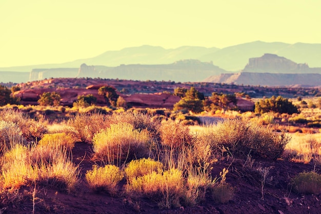 Amerikanische Landschaften