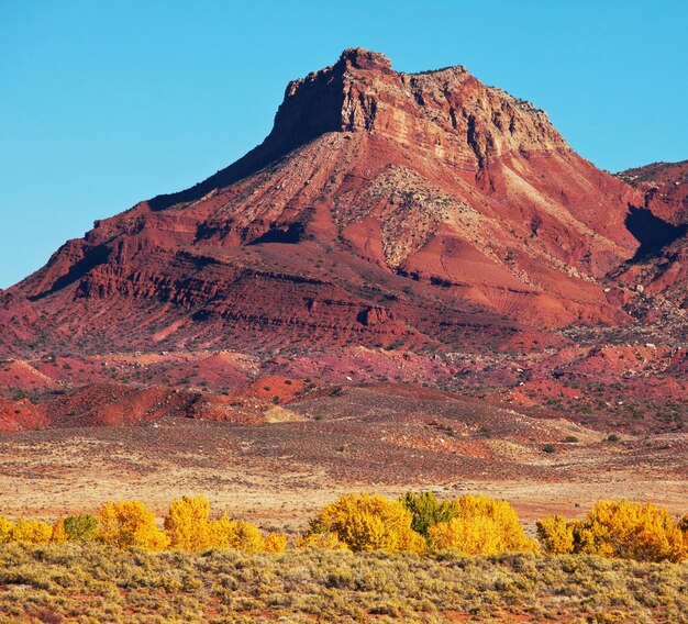 Amerikanische Landschaften